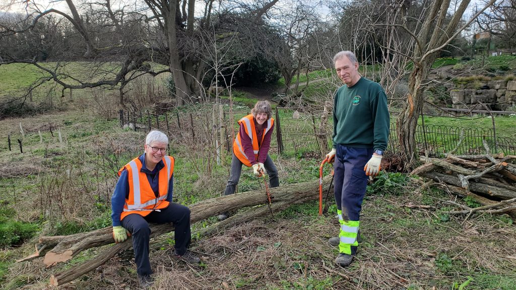 Volunteer Work Party