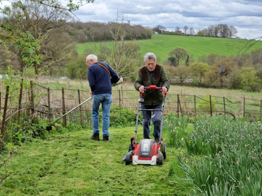 Fernery Gardening Group